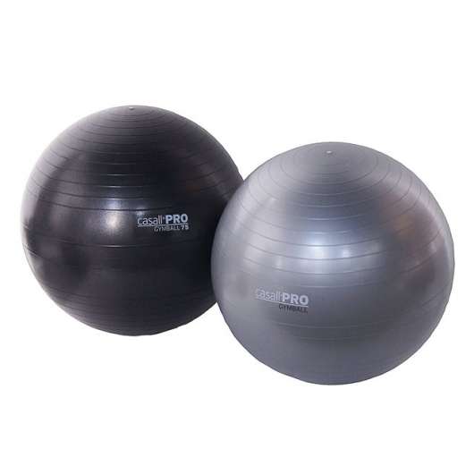 Casall Pro Gymball 2 kg, Gymboll