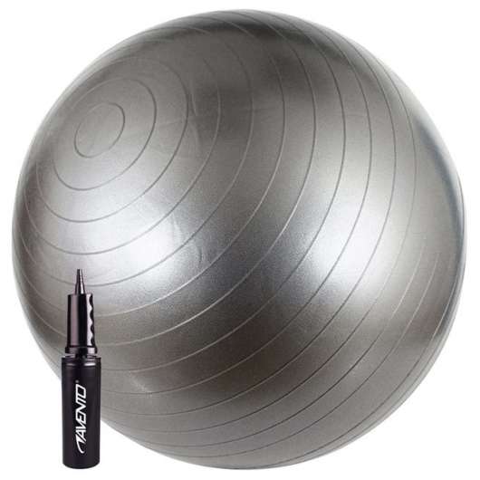 vidaXL Fitnessboll 65 cm silver